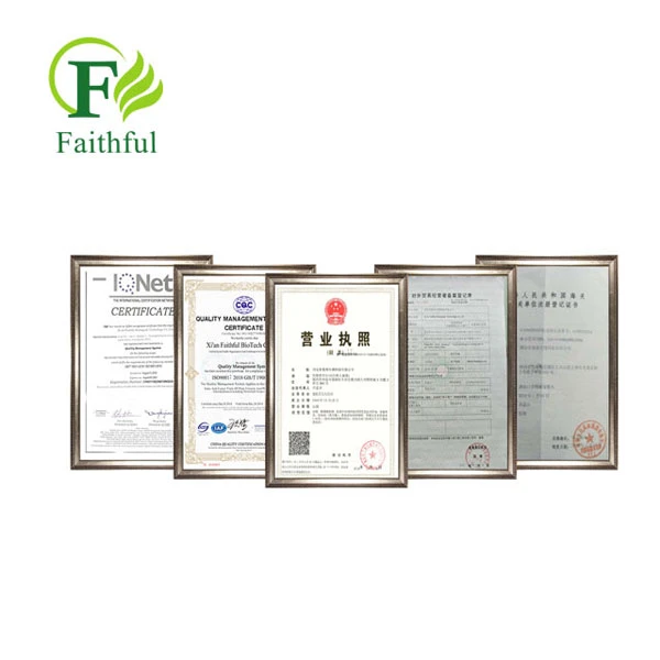 Ciprofloxacin Lactate CAS 97867-33-9 Ciprofloxacin Lactate CAS 97867-33-9