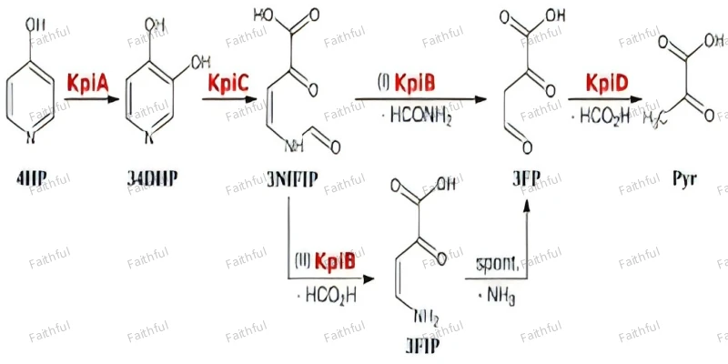 4-Hydroxypyridine Structure1 4-Hydroxypyridine Structure1