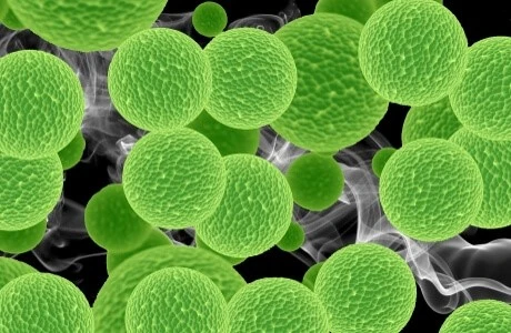 The uses of Chlorophyllin The uses of Chlorophyllin