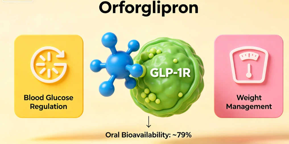 Mechanism of action of orforglipron